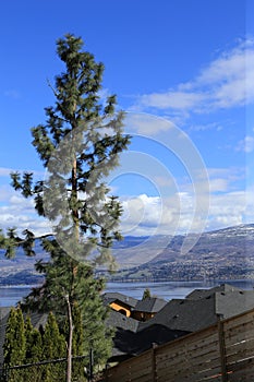 Kelowna lifestyle - roof top views for Realestate brochures