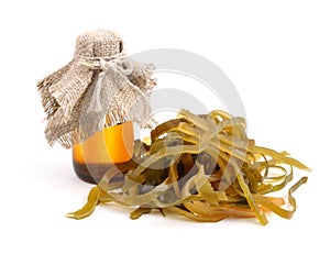 Kelp ( laminaria ) iwith pharmaceutical bottle. photo