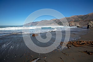 Kelp washing ashore at the original Ragged Point at Big Sur on the Central Coast of California United States