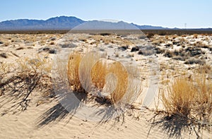 Kelso Dunes, Mojave National Preserve