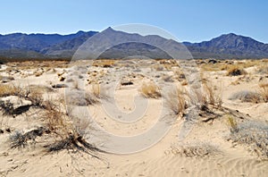 Kelso Dunes, Mojave National Preserve