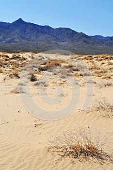 Kelso Dunes, Mojave National Preserve