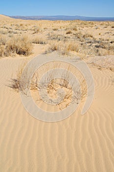 Kelso Dunes, Mojave National Preserve