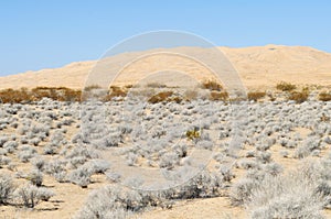 Kelso Dunes, Mojave National Preserve