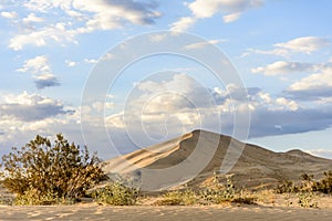 Kelso Sand Dunes at sunset, Mojave Desert, California, USA