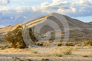 Kelso Sand Dunes at sunset, Mojave Desert, California, USA