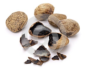 keluak ( pangium seed), used as spice in Indonesian cooking photo