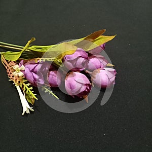 Kembang Flower Rose bunga purple photo