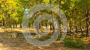 KEMER, TURKEY: Idyros archaeological excavation site in the National Park in Kemer.