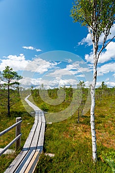 Kemeri bog National Park, Latvia