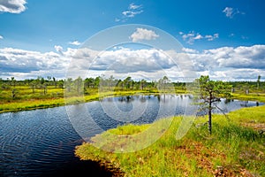 Kemeri bog National Park, Latvia