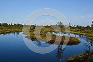 Kemeri Swamp photo