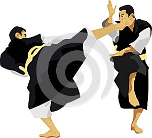 The Kempo Japanese Chinese Martial Art photo