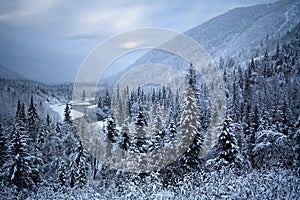 Kenai Peninsula, Alaska