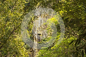 Kendai fall a picnic spot at korba , chhattisgarh, india