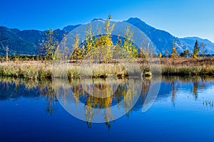 Kendlmuehlfilz near Grassau, an upland moor in Southern Bavaria, Germany