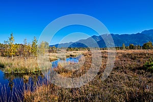 Kendlmuehlfilz near Grassau, an upland moor in Southern Bavaria, Germany