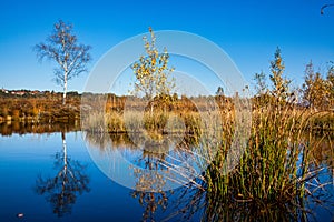 Kendlmuehlfilz near Grassau, an upland moor in Southern Bavaria, Germany