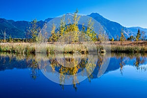 Kendlmuehlfilz near Grassau, an upland moor in Southern Bavaria, Germany