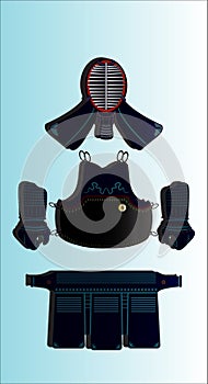 Kendo bogu or armor.