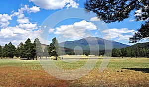Kendrick Park Watchable Wildlife Trail in Coconino National Forest photo