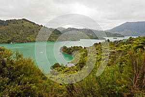 Kenepuru Sound of Marlborough Sounds, New Zealand