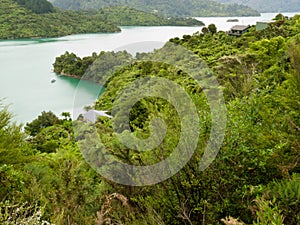 Kenepuru Sound of Marlborough Sounds, New Zealand