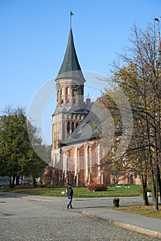 Kenigsberg Cathedral. Kaliningrad. Russia