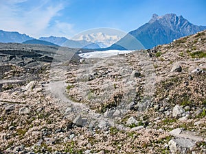 kennicott Glacier Alaska