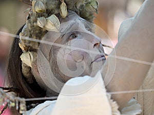 A nature loving fairy performes at the annual Bristol Renaissance Faire