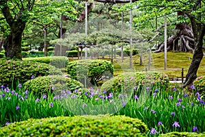 Kenroku-en garden, located in Kanazawa, Ishikawa, Japan, is an old japanese traditional garden. Along with Kairaku-en and Koraku-
