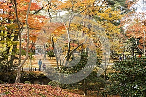 Kenroku-en gardens in Kanazawa, Japan