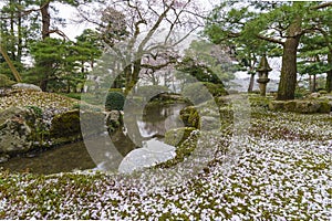 Kenrokuen Garden, Kanazawa, Japan