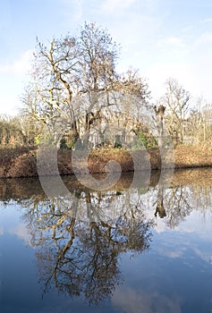 Kensal Rise Cemetery on the Grand Union Canal. photo