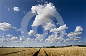 Kent countryside and village