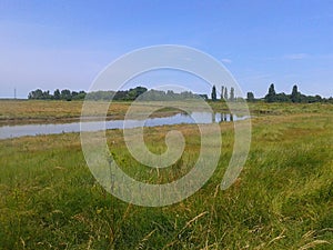 Kent marshes
