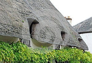 Kent thatched country cottage roof