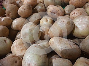 kentang potato farmers export vegetables