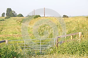 Kentish meadow fields