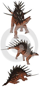 Kentrosaurus