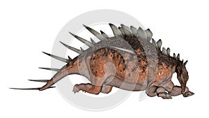 Kentrosaurus dinosaur resting - 3D render