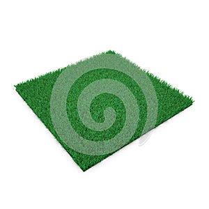 Kentucky Bluegrass Grass on white. 3D illustration