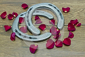 Kentucky Derby red rose petals with horseshoes photo