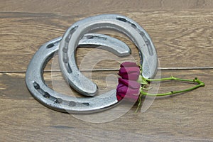 Kentucky Derby red roses with horseshoes