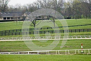 Kentucky Horse Farm