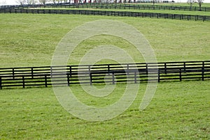 Kentucky Horse Farm