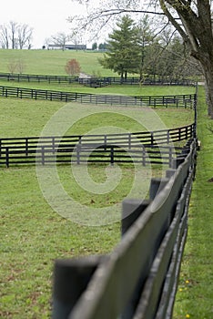 Kentucky Horse Farm