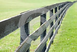 Kentucky Horse Farm