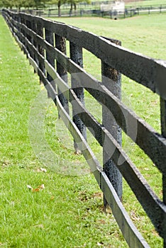 Kentucky Horse Farm