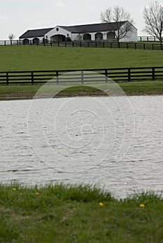 Kentucky horse farm